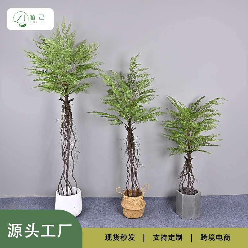 仿真黑骨芒蕨树家居软装造景商场橱窗工程源头厂家一件 黑骨芒
