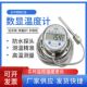 全不锈钢数显温度计带探头高精度防水电子水温表工业水产养殖测温