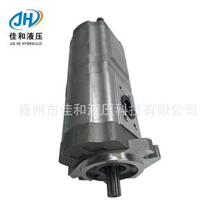 钻机双联齿轮油泵 CBTL-F425/F425-AFH