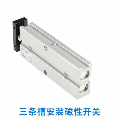 气动小型带磁双杆双轴气缸TNX101620252172330X40SX50S75100S