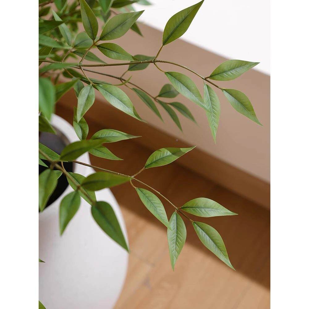 绿盆植室内装搭配植物栽南天假树简F779J595约竹软原木风格装饰