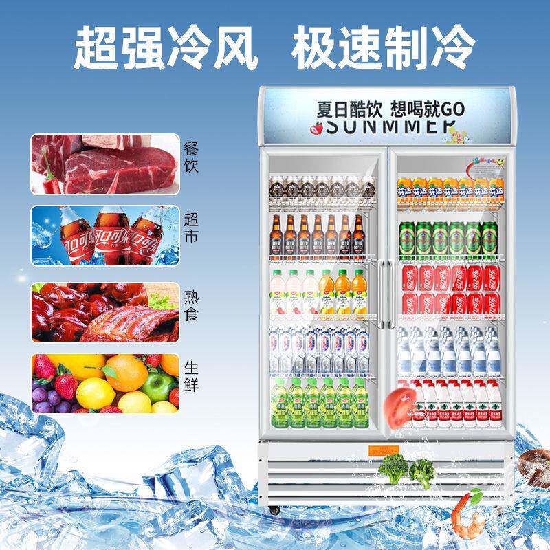 冷藏展示柜立冰式大商用单开门柜容量啤酒饮料超市保鲜824示展柜