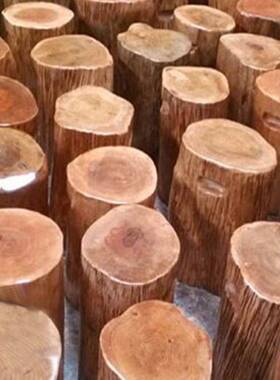 实木墩头子原木根雕凳子木树VWH墩木桩大板支花架架坐底座茶桌圆