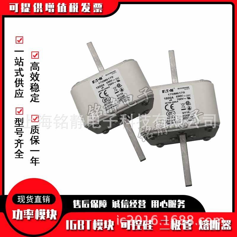 17M601717M60181700M6019MGP1070M6020巴斯曼熔断器现货1700M621