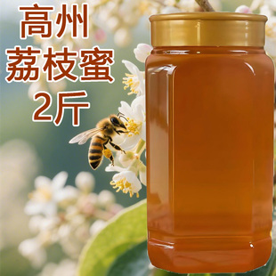 正宗荔枝蜂蜜真新蜜龙眼蜜蜂巢野生春天大自然土蜂蜜瓶装无添加