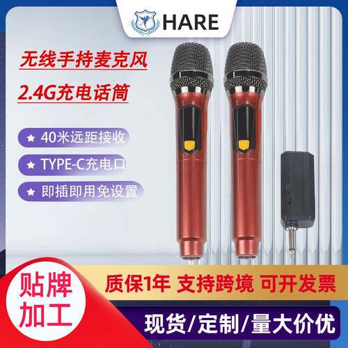 无线麦克风一拖二话筒充电款唱歌家用K歌会议手持
