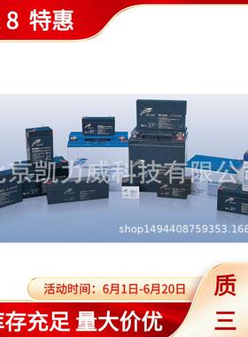 瑞达蓄电池RA12-10012V100AH12V7AH