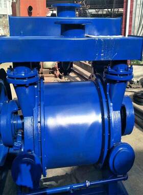 2环BE循环水抽2真空用WSW真空泵销售BV2071真2071水式空泵