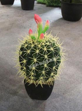 源头厂球家直销盆栽仙掌径CF01525直cm/50cm仿人真PU仙人软刺不伤