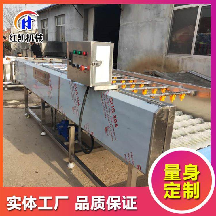 全自动柑橘抛清柠洗机甜橙柠檬毛刷清洗机清柑9077橘檬洗光机设备,鲜花速递/花卉仿真/绿植园艺,高压清洗机,淘宝优惠券,粉丝福利购,淘宝优惠卷