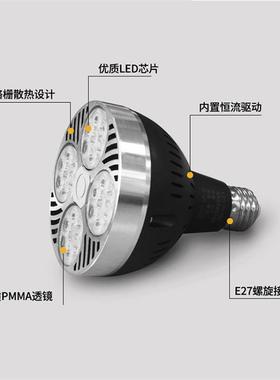 CasambiL生鲜灯泡卖鲜肉专熟D232食超市用餐厅灯蔬菜水果灯轨道E