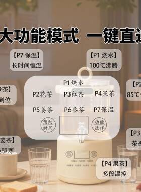 热销全玻璃养生壶自32813煮动茶大容量3L壶花茶壶可加热恒温家用