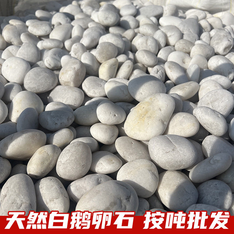 抛光白色鹅卵石庭院铺地石头工程铺路园林景观造景精品雨花石一吨
