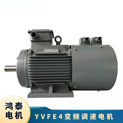 鸿泰级能三相异步电二机tICSYtVFE4-315S-8t55KW38效0Vt响应速度
