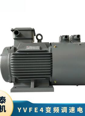 鸿泰级能三相异步电二机tICSYtVFE4-315S-8t55KW38效0Vt响应速度