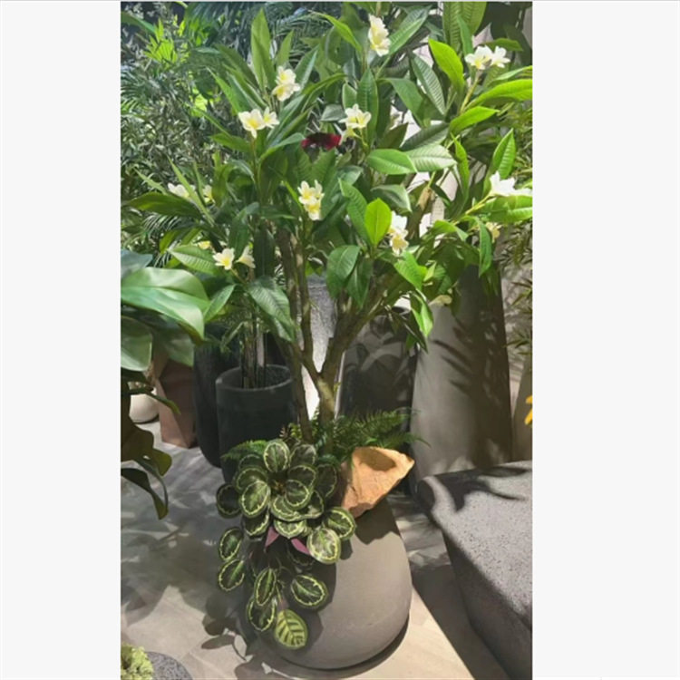 仿真鸡蛋花手感胶布鸡蛋叶绿色假树叶园林室内外造景装饰鸡蛋花树