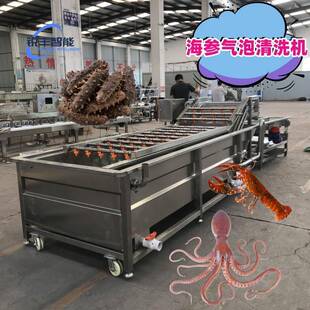 高压气泡清洗机海参清洗加工机自动海产品去泥去污设备果蔬清洗机