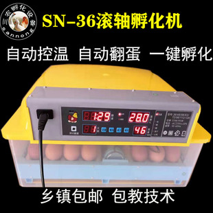 抱化鸭子蛋智能鸡蛋暖化机自动抱蛋箱小型乳化机浮卵器小型护小鸡