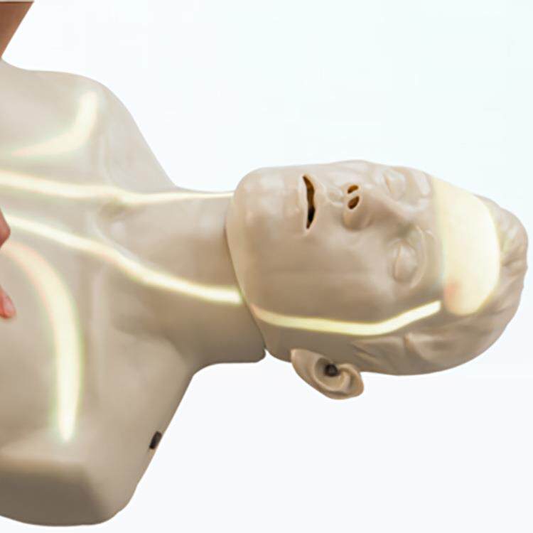 上海知能CPR310W血液可视化心肺复苏模拟人