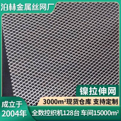 镍网拉伸网电极电解制氢镍网平纹斜纹印花电磁信号屏蔽网镍丝网