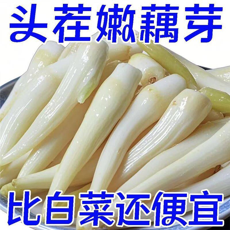 酸辣泡藕芽开胃洪湖泡椒藕带湖北特产开袋即食农家泡菜新鲜藕尖
