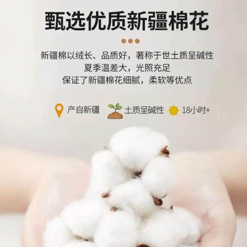 全棉单单件100纯棉被枕套单人儿童学床hyf20242生宿舍三床件套202
