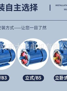 山东大泰众华宇华力261697YBX5-132-4泰-.5KMW隔爆型国标卧式马达