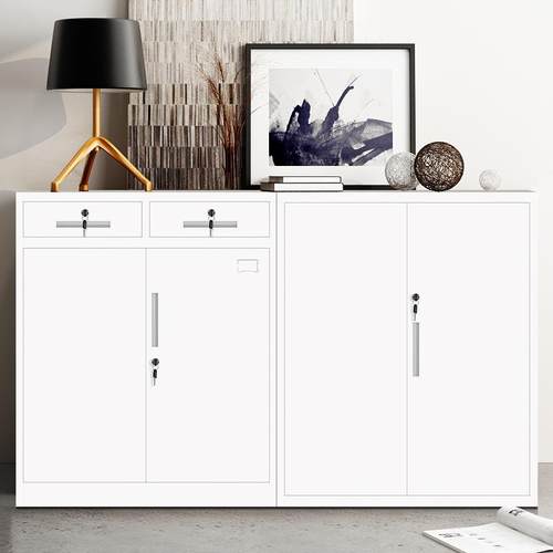 钢柜制文件柜皮柜存办铁公室小矮11柜档案柜资料柜员工放带锁储物