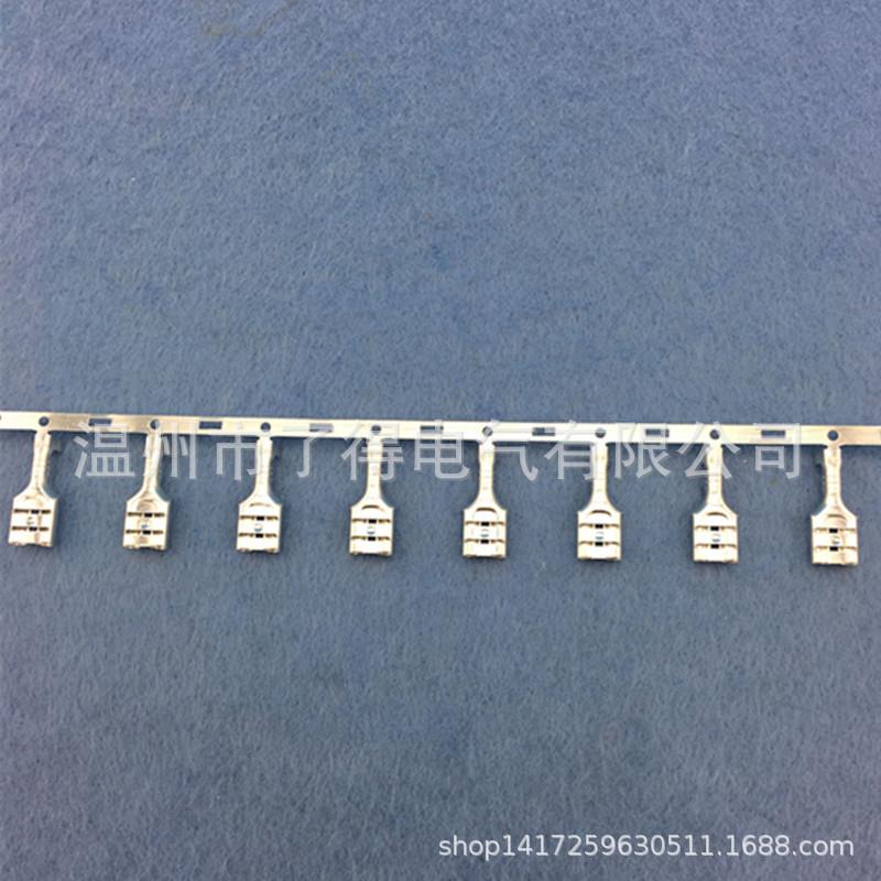 子6.3横带插簧250型连带插簧端6DJ62-D.3C脚27502000只/盘