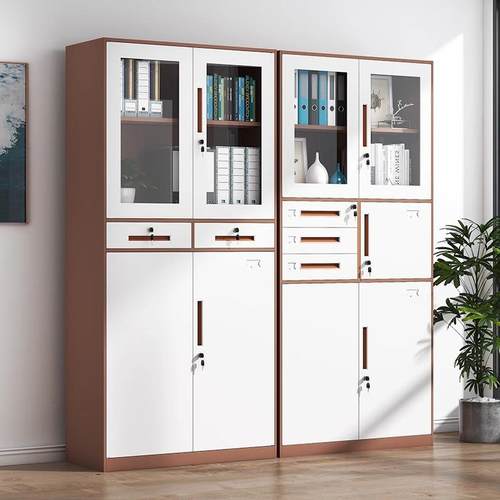 钢财制办HS-12公文件柜带铁锁资料柜档案柜皮务凭证矮多门员工更