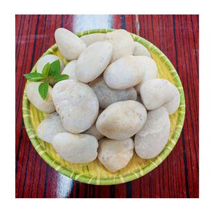 广东热销按摩步石|石精选道443雨花石+鹅卵白/黑/五彩理天然足底