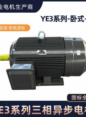 三异步电机14439YE3相卧式480V8极2.2/3//5.5/11kw国标3铜线电动
