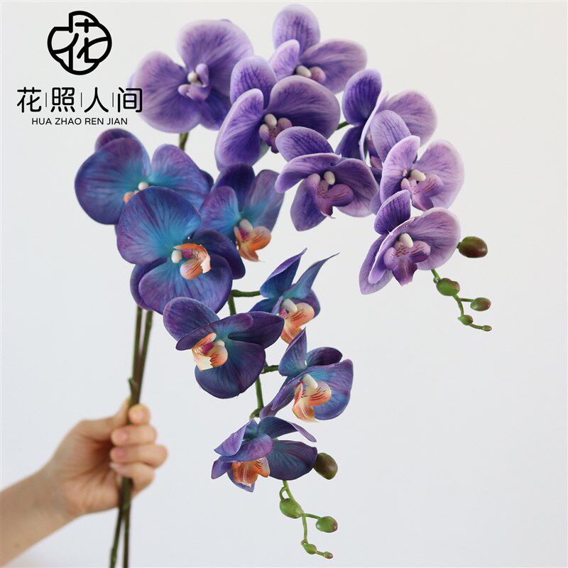 高品质手感保湿蝴蝶兰仿真花白色花艺花材婚礼假花装饰家居摆设摄