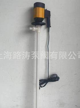 HDSUP+H-E2VPVDF--1200P耐高温调速插桶泵|耐酸碱电动抽液泵卸酸