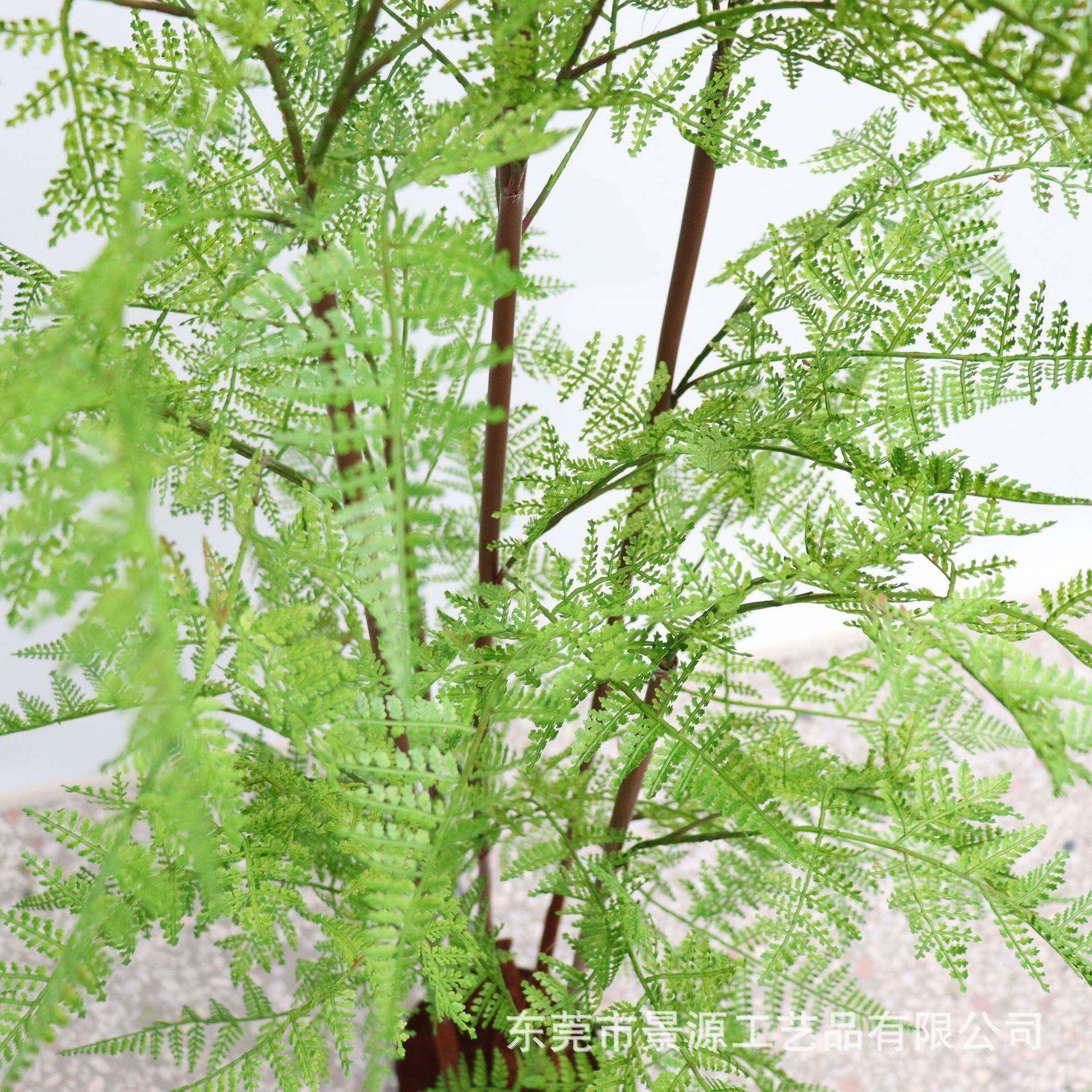 仿真蕨盆栽马尾蕨装651524客绿植厅树蕨类植物家居饰落地景观盆景