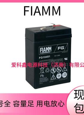 FIAMM非凡蓄电池 FG10451 6V4.5 AH 铅酸免维护蓄电池