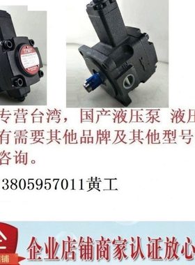 台湾盛菖TCMC叶片泵TCVP-F45-A1-02 A2 A3 A4
