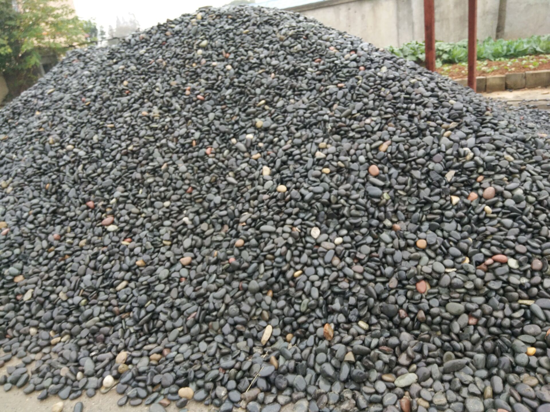 雨花石鹅卵石小石子石米黑石子景观石白石米黄色石米汉白雨石子