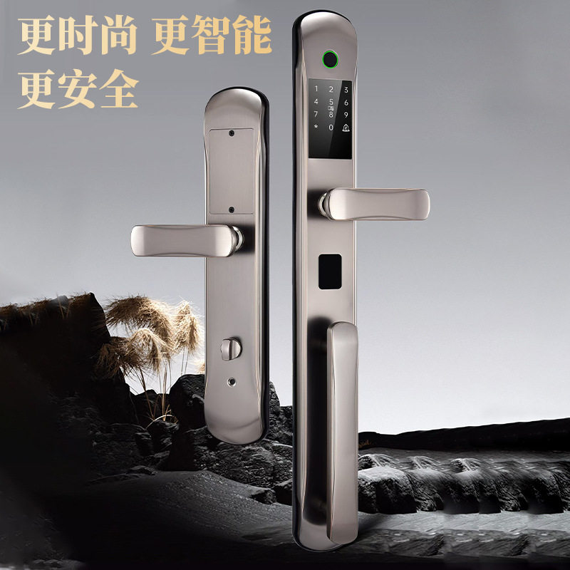 欧式别墅双开防盗指纹密码智能锁