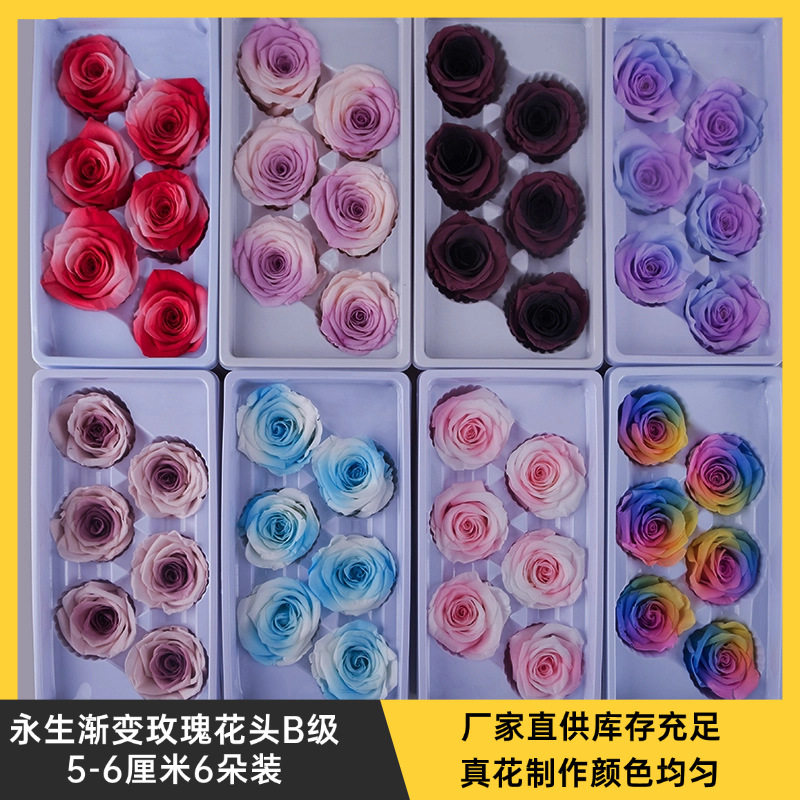 云南产永生玫瑰花5-6cm6朵装B级渐变色手工艺品花束玻璃罩花材批