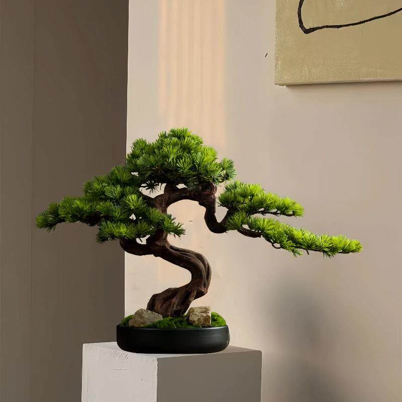 植物实木摆件黑松盆景绿植迎客松罗汉松办公室玄关五针松客厅