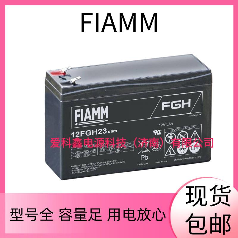 FIAMM蓄电池 12FGH23 12V5 AH 船舶应急免维护铅酸电池