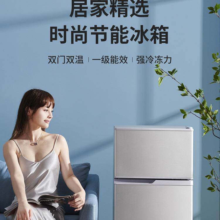 家小型冰箱节租量房迷你冰箱冷藏冷冻能省LZO电冰箱大容工用厂直
