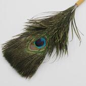 文房四孔雀羽国画笔宝成人毛书法笔行毛楷隶书篆书花卉SEB绘画毛