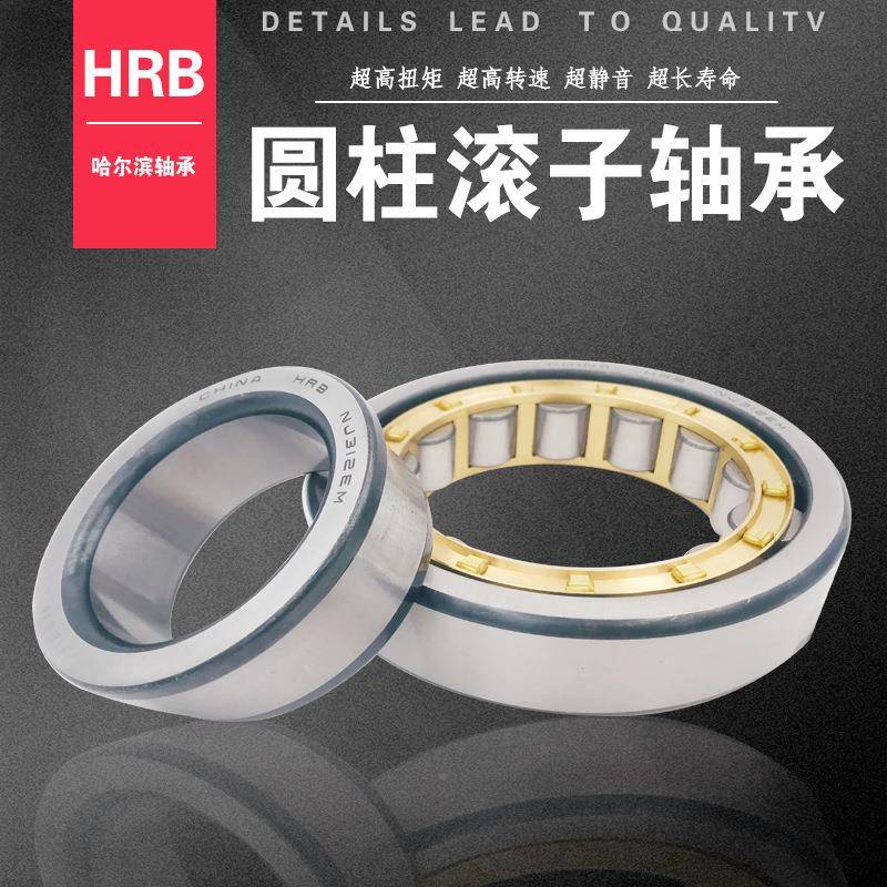 H柱RB哈尔滨圆滚子轴承NU8NJ21AVY72212219E2M高速电机、重工业