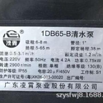 广东凌霄1DB351DB451DB65-B清水泵5家用抽水泵330W50BMWW750W