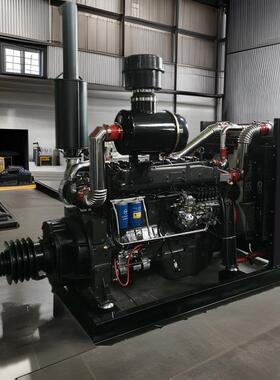 潍坊柴油机wp12斯太尔380马力粉碎机发动机