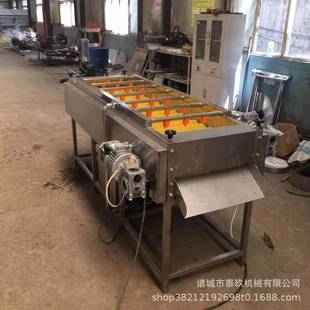 粽叶洗清洗机粽叶下叶毛刷自动叶机苇清洗设备芥菜叶清92859上洗