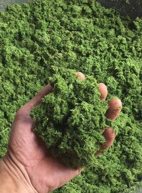 超细牧草碎21852机浆机铡打草机家揉丝机用两相电秸秆粉皇竹甜象