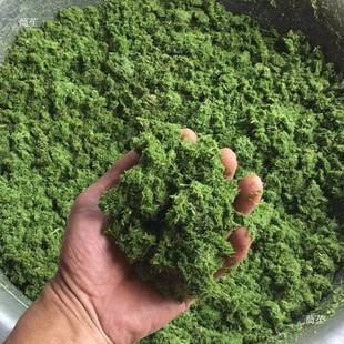 超细牧草碎21852机浆机铡打草机家揉丝机用两相电秸秆粉皇竹甜象